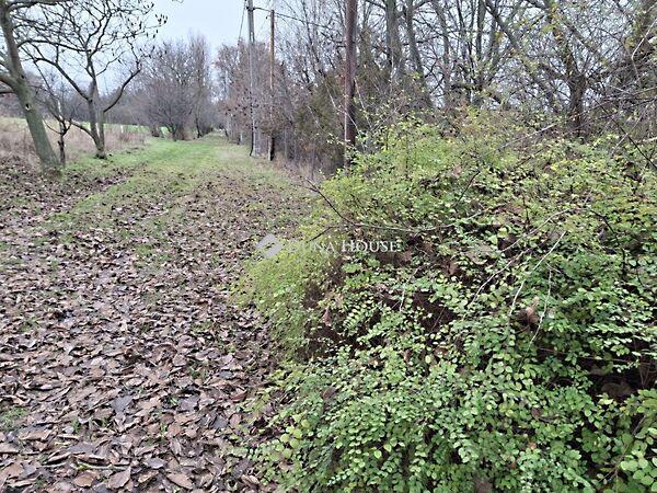 Szabadság, Alcsútdoboz 2. képe