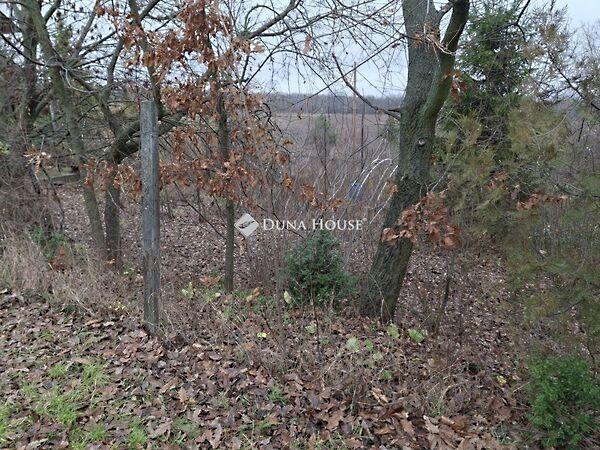 Szabadság, Alcsútdoboz 3. képe