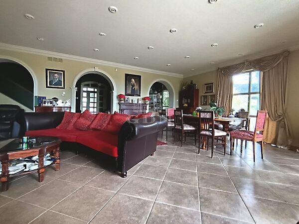 Akác, Mogyoród képe