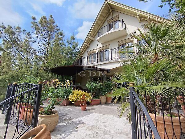 Akác, Mogyoród 3. képe