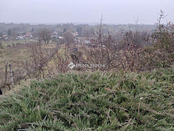 Kossuth, Bicske képe