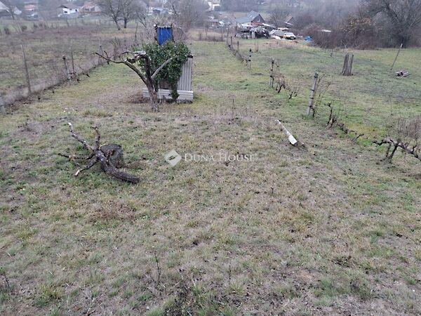 Kossuth, Bicske 2. képe