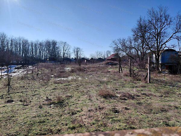 Tápiószőlős képe