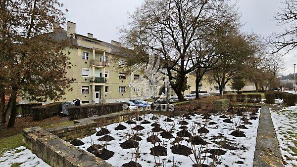 Árpád Vezér, Ózd képe