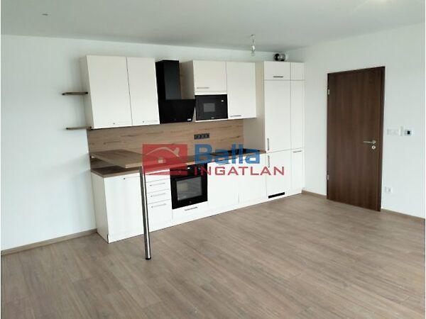 Paskál Rose, Budapest, XIV. kerület 3. képe