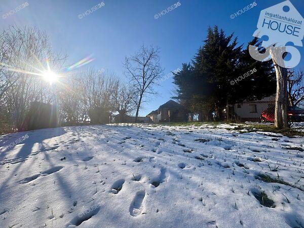 József Attila, Tiszaug 2. képe