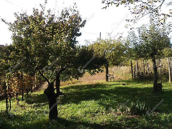 Zalaegerszeg 2. képe