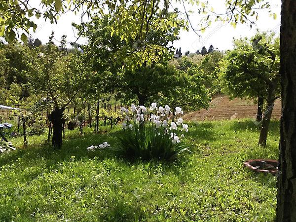 Zalaegerszeg 3. képe