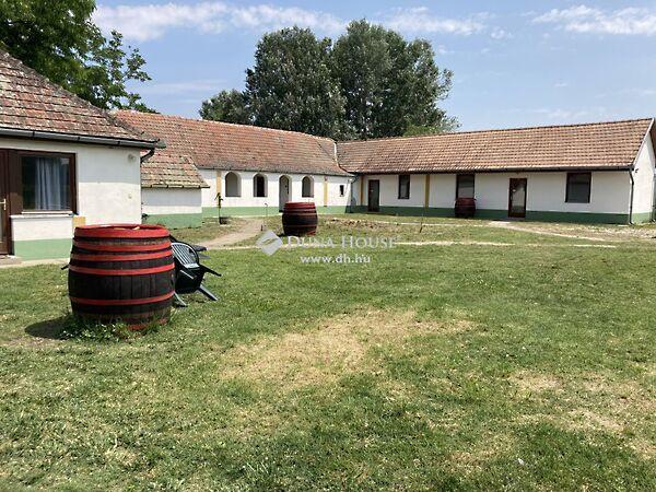 Petőfi Sándor, Csengőd képe