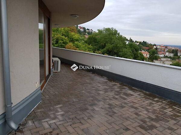 Surányi Miklós, Pécs 2. képe