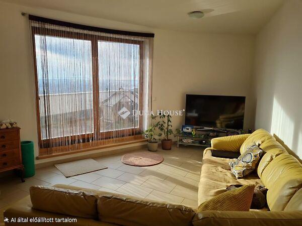 Surányi Miklós, Pécs 3. képe