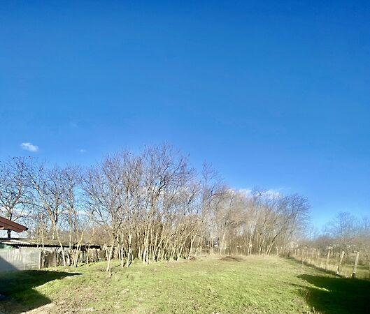 Tápiószele 3. képe