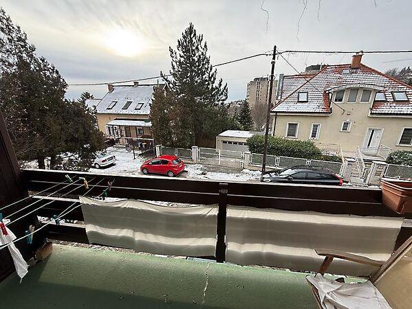 Sólyom, Budapest, XII. kerület 3. képe