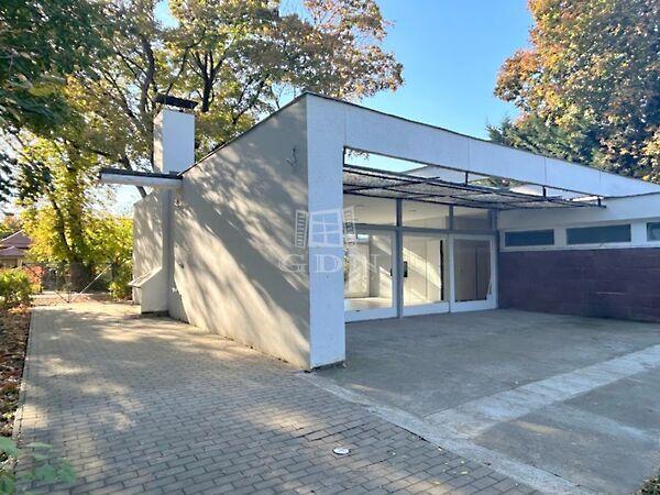 Gesztenye, Gárdony képe