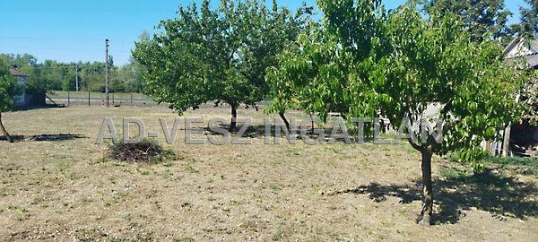 Táborfalva 3. képe