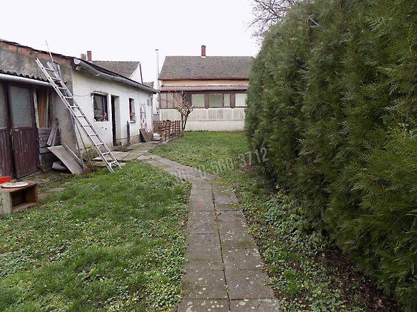 Szladik János, Pápa 3. képe