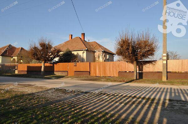 Nyárlőrinc 3. képe