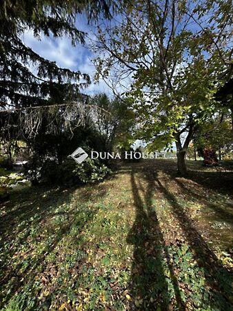 Sziget, Vámosszabadi 2. képe