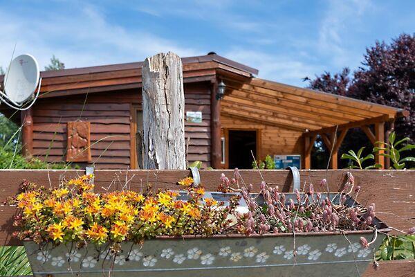 Nyár, Vadna 3. képe