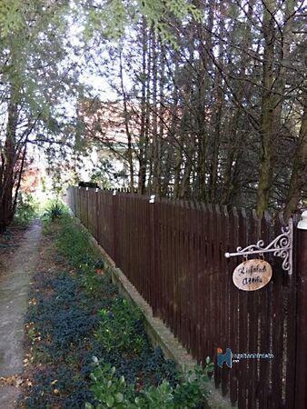 arany, Jászdózsa képe