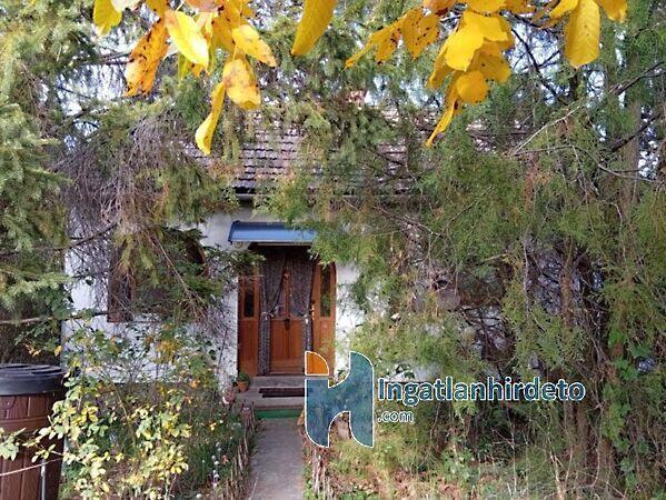 arany, Jászdózsa 2. képe