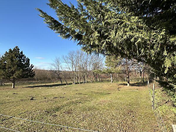 Meder köz, Cserszegtomaj 2. képe