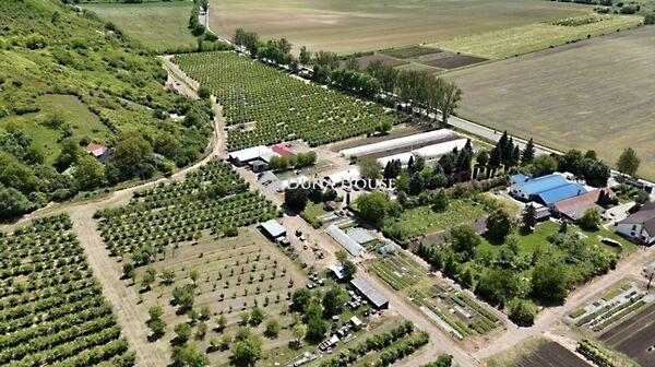 Dienesfalvi, Putnok képe