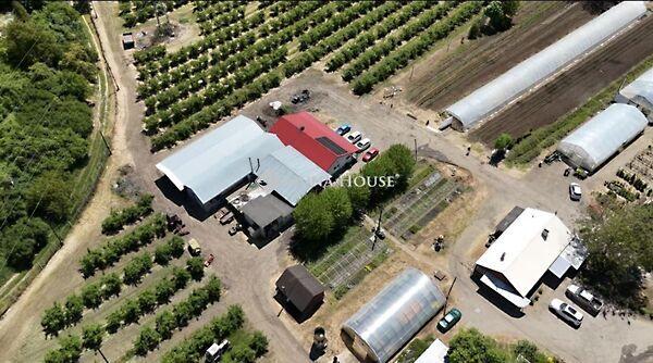 Dienesfalvi, Putnok 2. képe