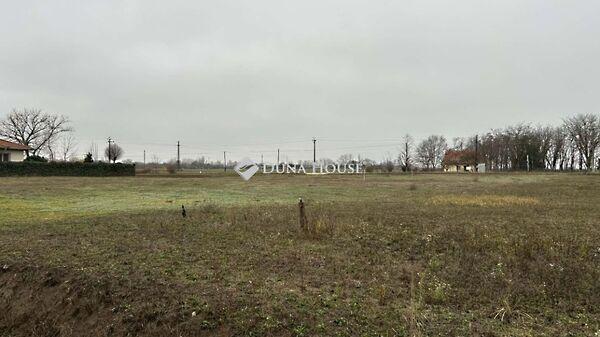 Kiskunfélegyháza 2. képe