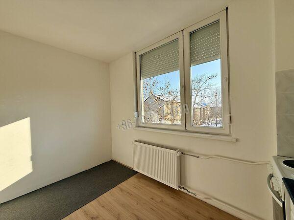 Rákóczi Ferenc, Oroszlány 2. képe