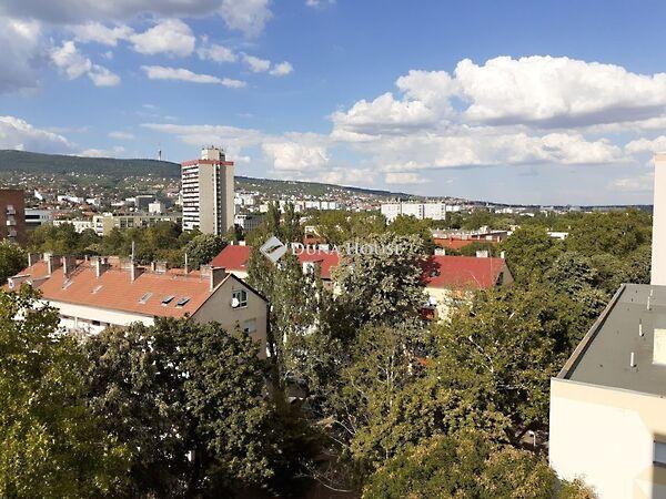 Páfrány, Pécs 3. képe