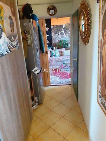 Páfrány, Pécs képe