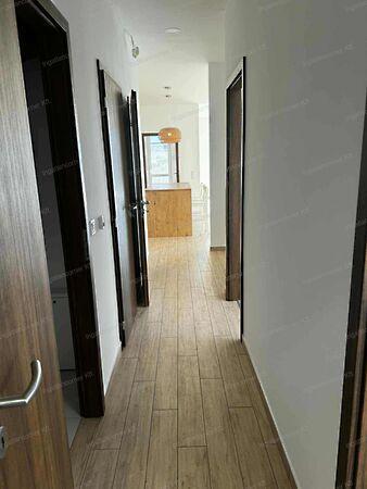 Dunaharaszti 3. képe