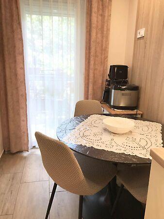 Pillich Kálmán, Szeged 2. képe