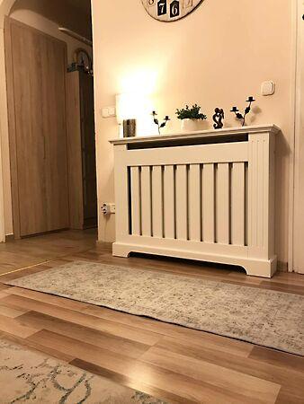 Pillich Kálmán, Szeged képe