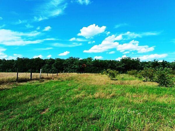 2104-es, Sződ képe