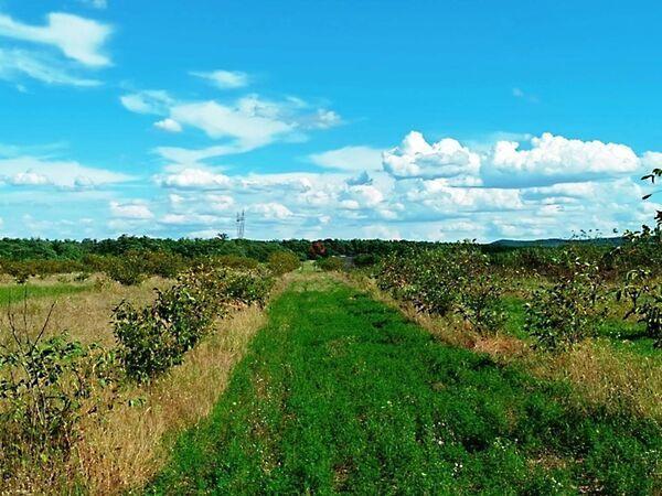 2104-es, Sződ 3. képe