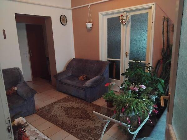 Pajtás u., Debrecen képe