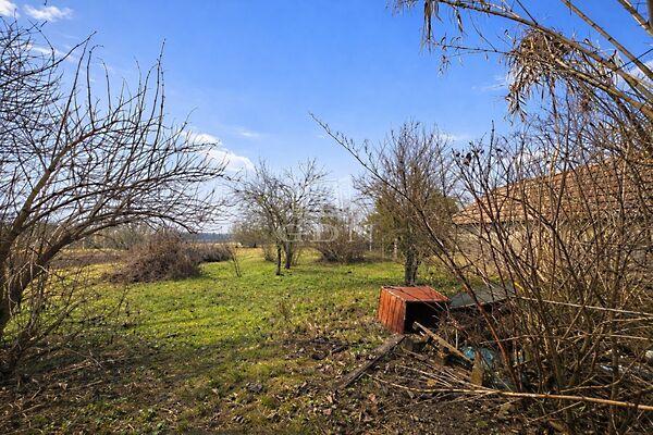 Fő, Sárszentmihály 2. képe