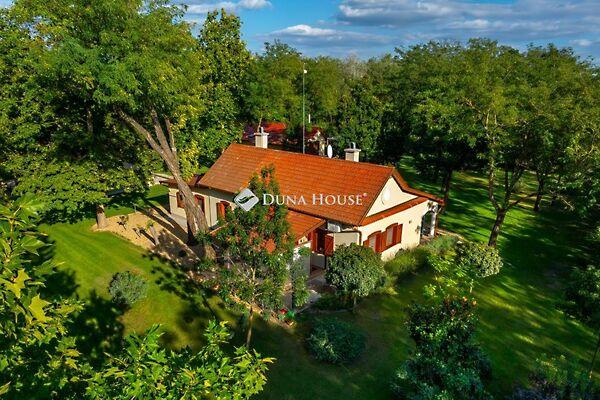 Hunyadi, Tiszakécske 2. képe