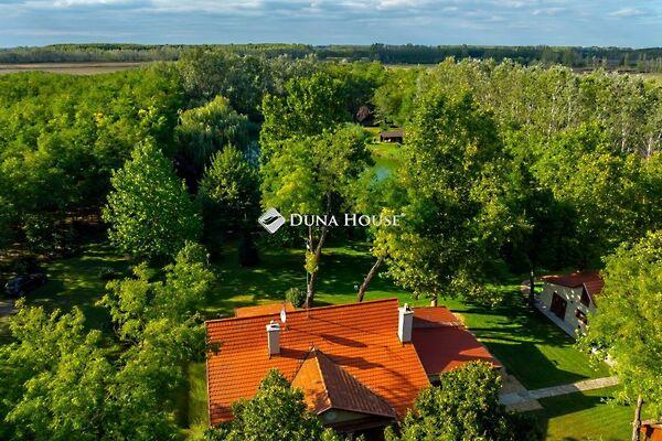 Hunyadi, Tiszakécske 3. képe