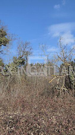 Söjtör, Budapest, XI. kerület 3. képe