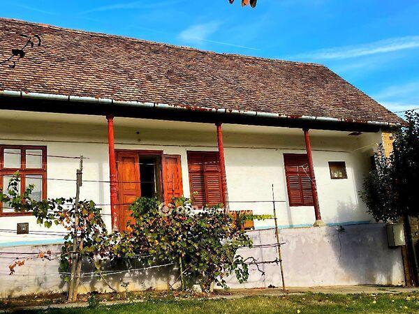 Petőfi Sándor, Cikó 3. képe