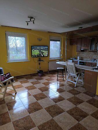 Tiszaföldvár 2. képe