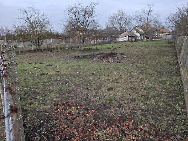 Bata Sámuel, Szentmártonkáta 2. képe