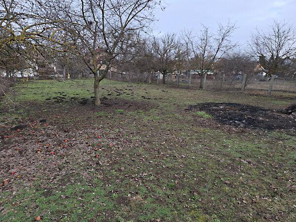 Bata Sámuel, Szentmártonkáta 3. képe