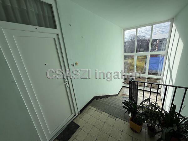 Platán, Nagykanizsa 2. képe