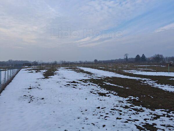 Balatonakali 3. képe