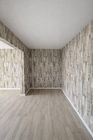 Táncsics Mihály, Oroszlány 3. képe