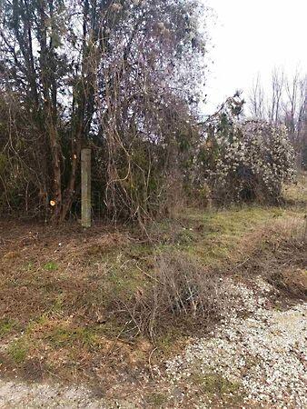 Sárkeresztes 2. képe